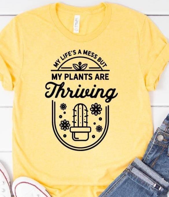 My life’s a mess, but my plants are thriving.